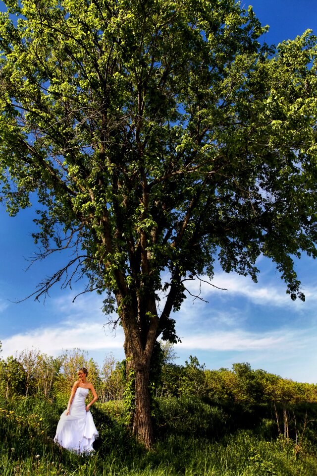 Bride wedding wedding dress