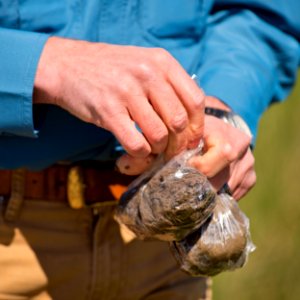 5132 NRCS projects