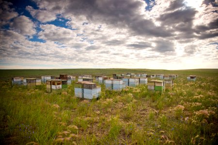 4929 NRCS projects