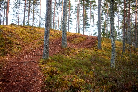 Iso-Melkutin, Loppi, Finland
