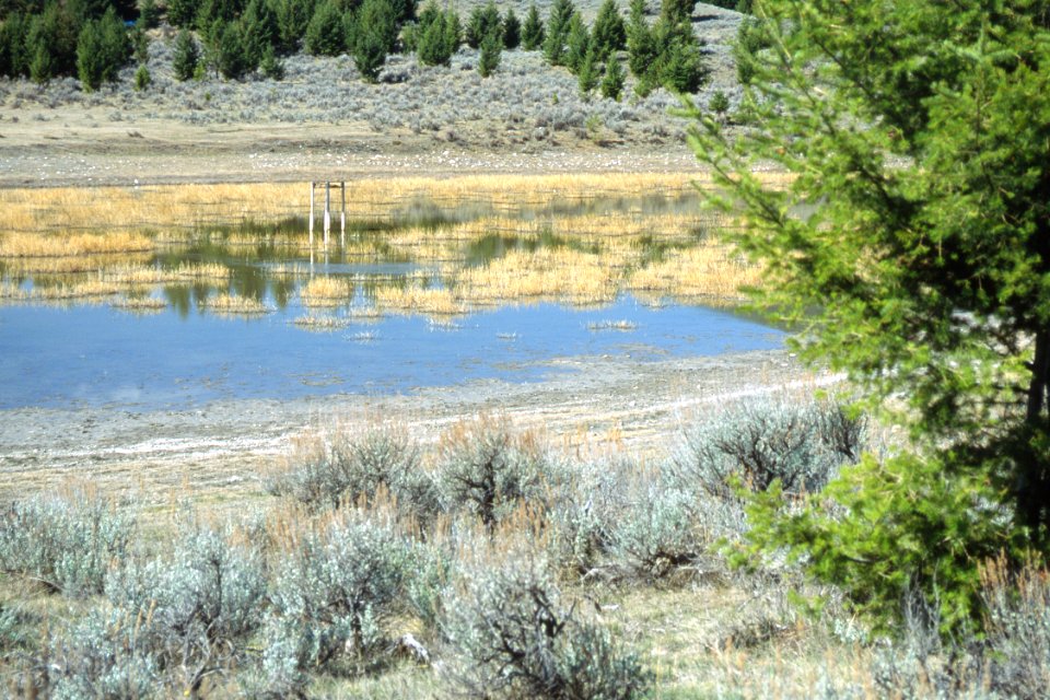 Wetlands37.tif