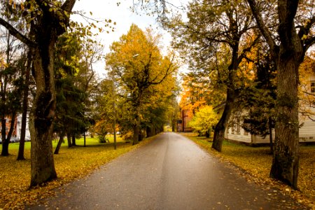 Mustiala, Tammela, Finland