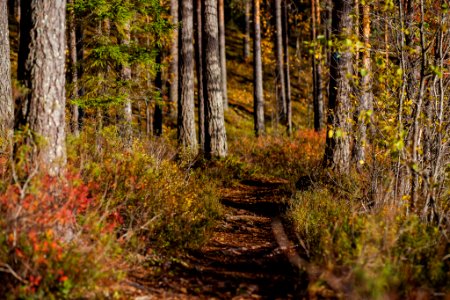 Iso-Melkutin, Loppi, Finland.