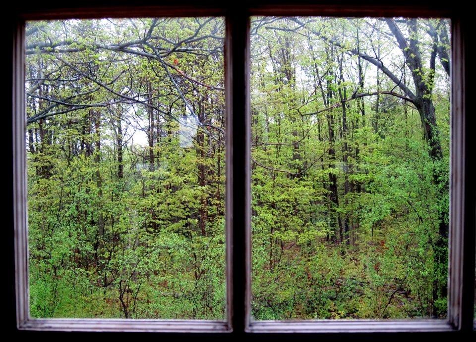 Windows to the World (or the World Looking at Me?)
