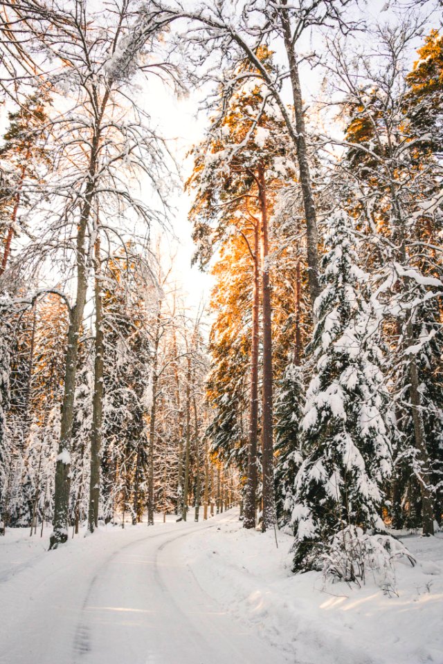 Aulanko, Hämeenlinna, Finland
