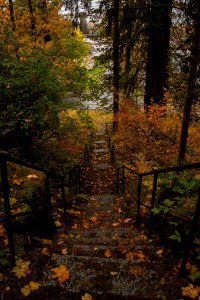 Aulanko, Hämeenlinna, Finland.