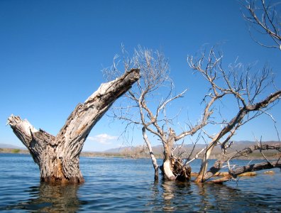 Fun Kayak Obstacles