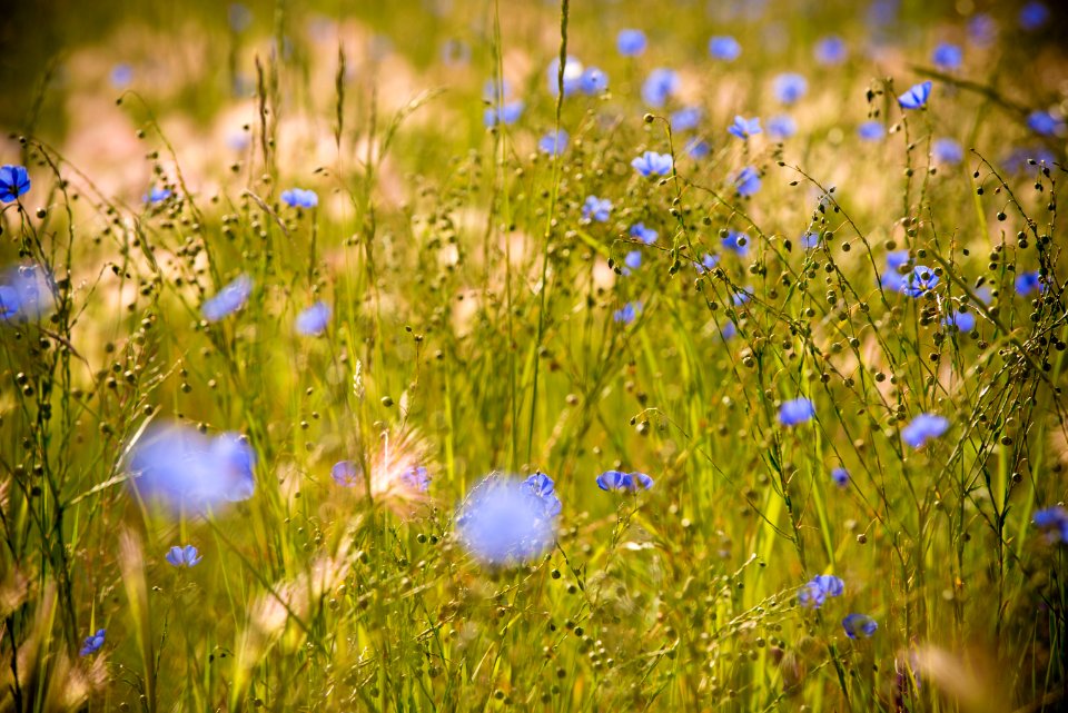 4937 NRCS projects