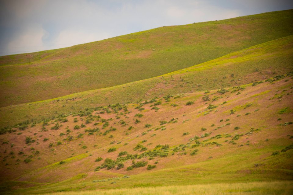 2323 NRCS projects.jpg