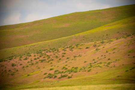 2323 NRCS projects.jpg
