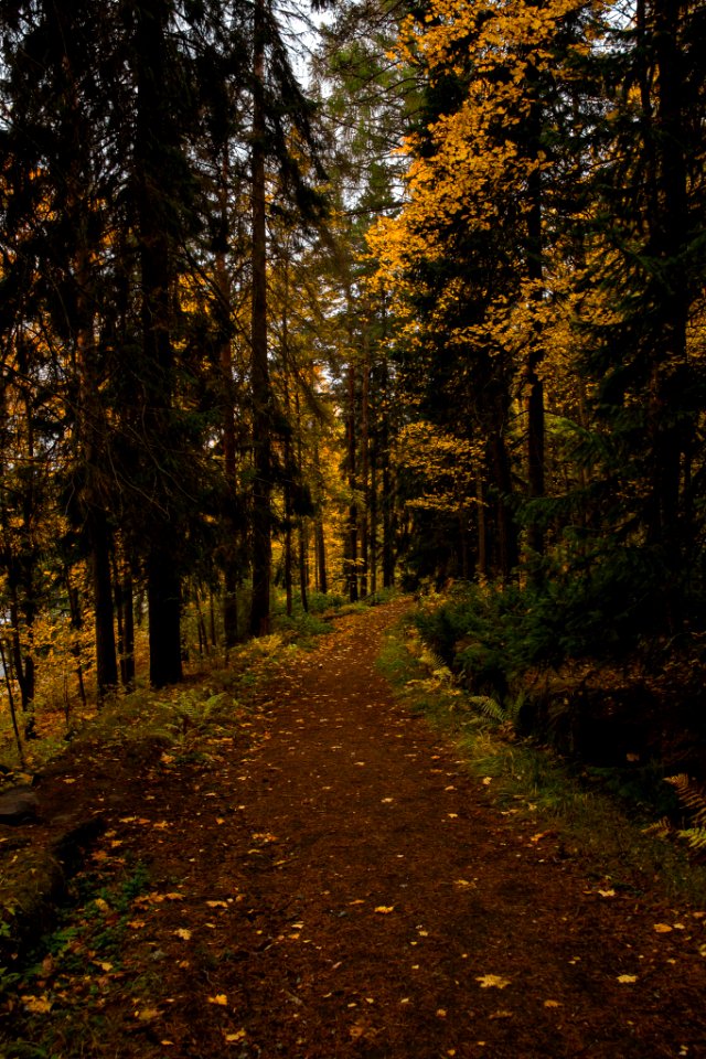 Aulanko, Hämeenlinna, Finland.