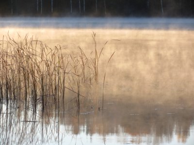 Toivanjoki, Janakkala, Finland