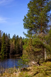 Aulanko, Hämeenlinna, Finland