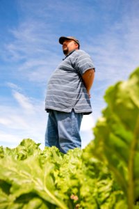4200 NRCS projects