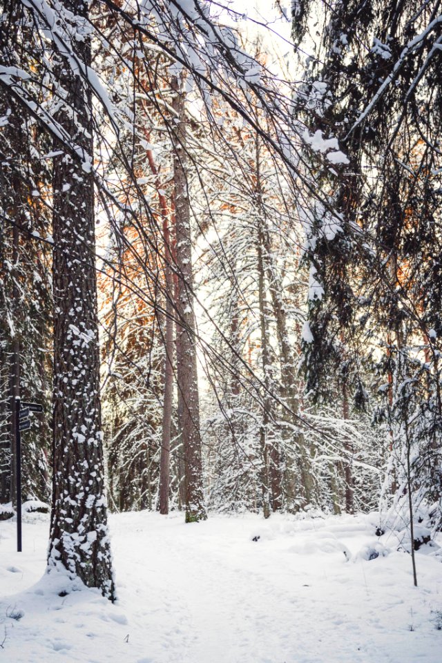 Aulanko, Hämeenlinna, Finland