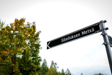 Sibeliuksen metsä, Hämeenlinna, Finland photo