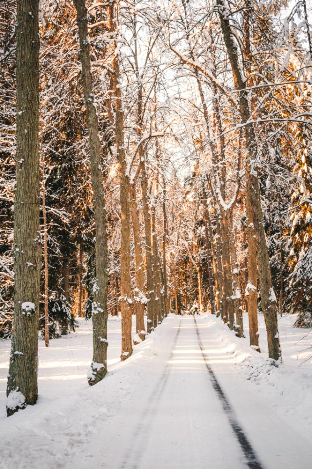 Aulanko, Hämeenlinna, Finland