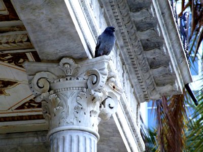 Palermo Sicily Italy - Creative Commons by gnuckx