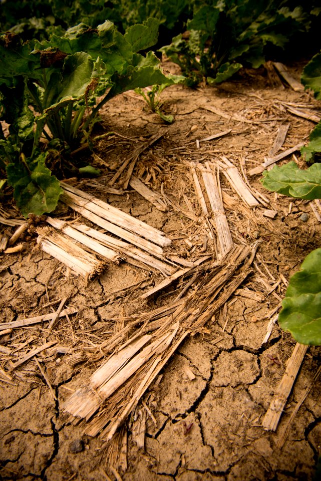 4290 NRCS projects