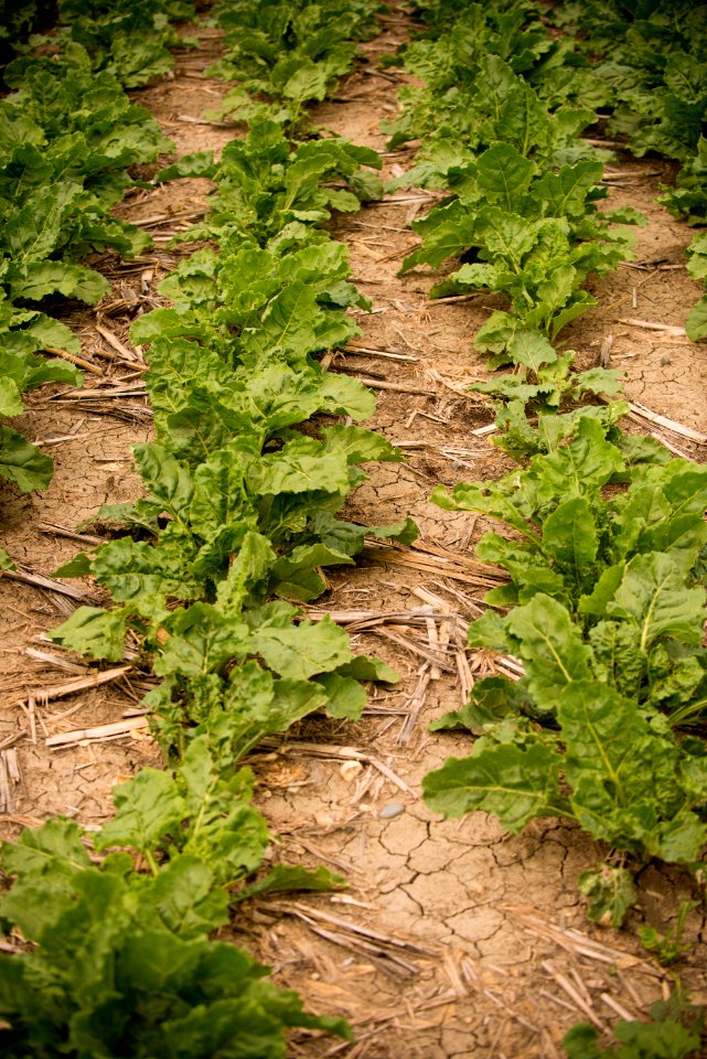 4270 NRCS projects