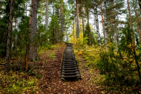 Tenholan linnavuori, Hattula, Finland