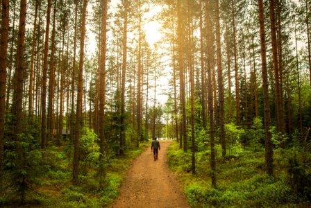 Evo Hiking Area, Hämeenlinna, Finland