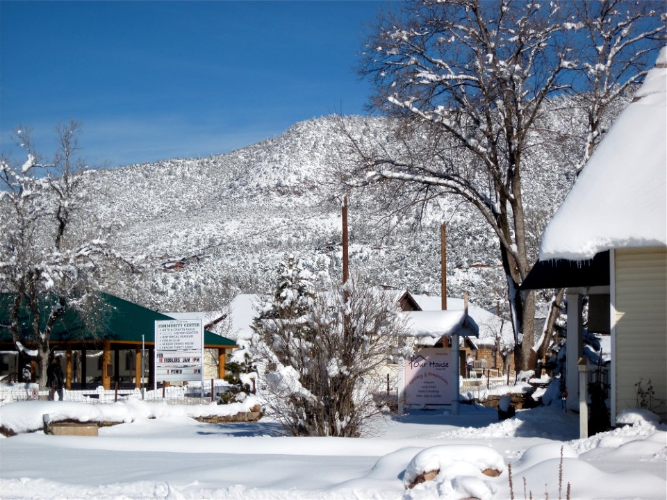 The Streets of Pine, Arizona