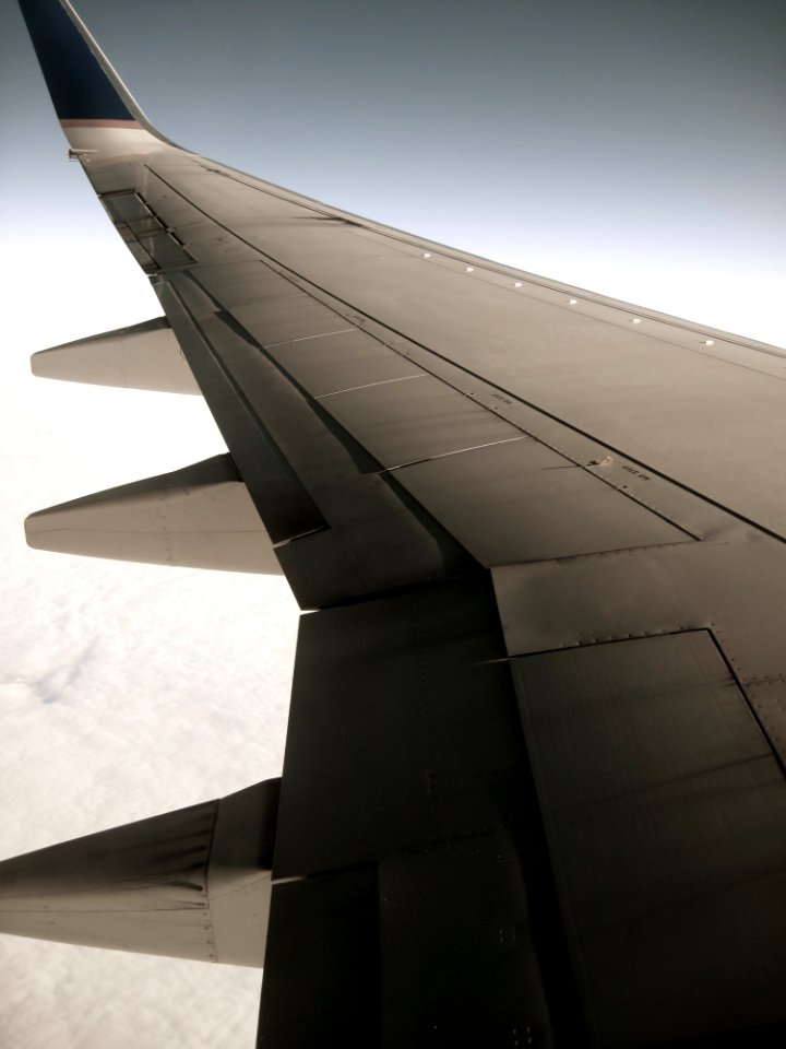 One a Wing and a Wing