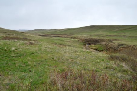 Watersheds39