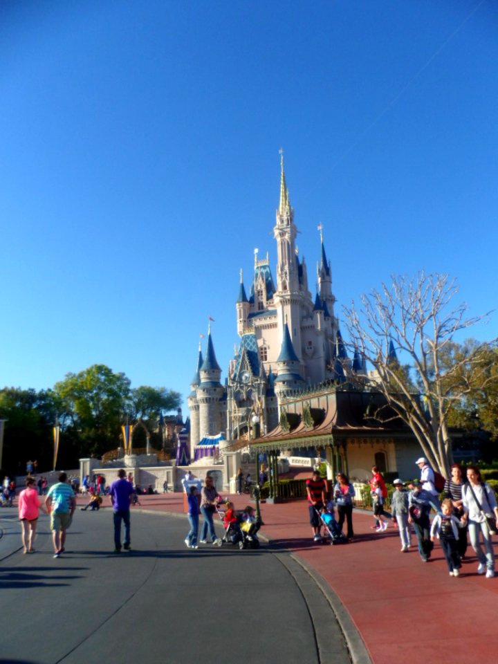 Florida-Orlando-Walt Disney Word