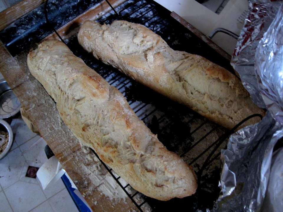 Freshly Baked at Bryan's House