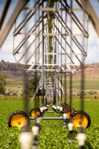 4220 NRCS projects