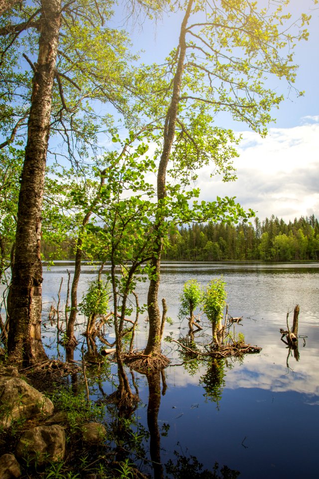 Evo Hiking Area, Hämeenlinna, Finland