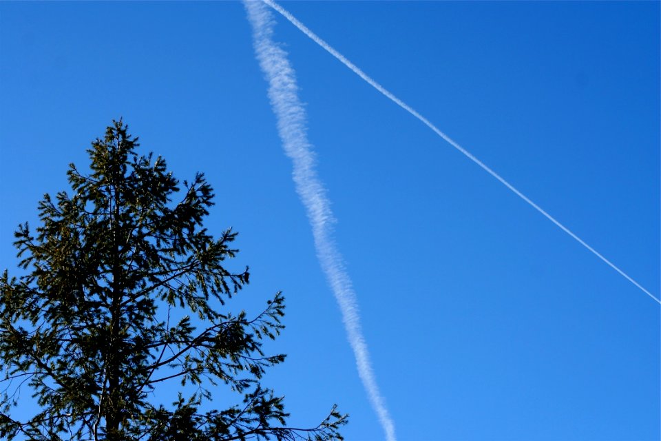 Paths in the Sky
