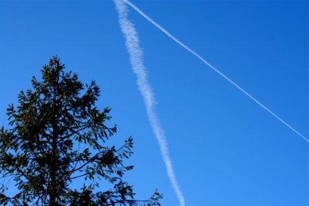 Paths in the Sky
