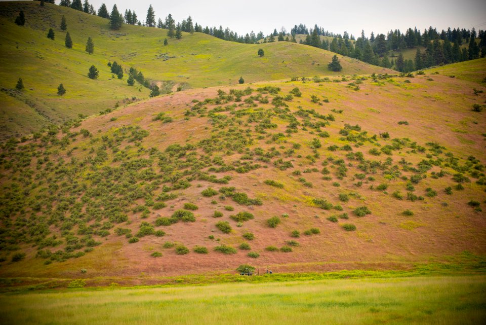 2335 NRCS projects.jpg