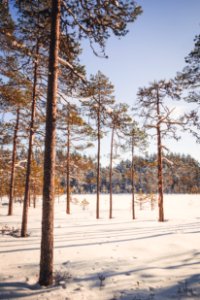 Evo, Hämeenlinna, FInland