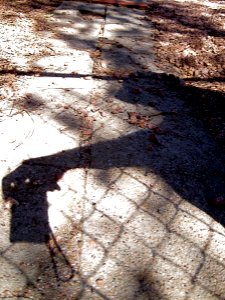 Shadow of Myself