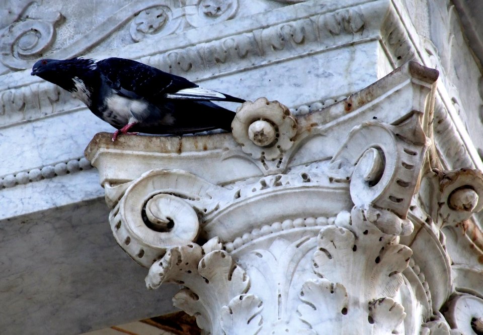 Palermo Sicily Italy - Creative Commons by gnuckx