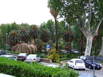 Palermo-Sicily-Italy - Creative Commons by gnuckx