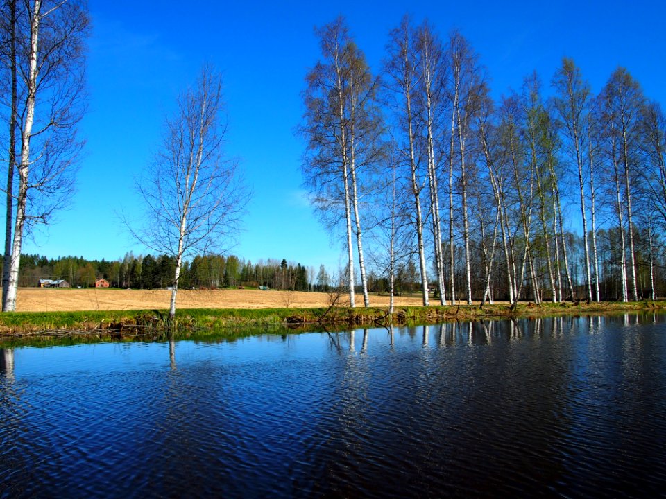 Toivanjoki, Janakkala, Finland