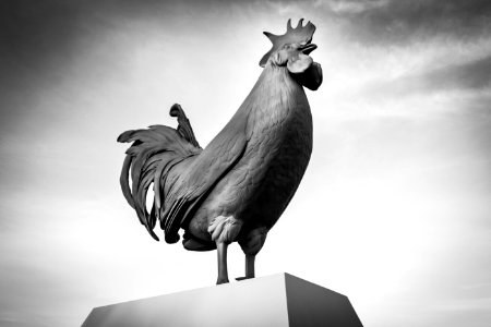 Rooster Sculpture