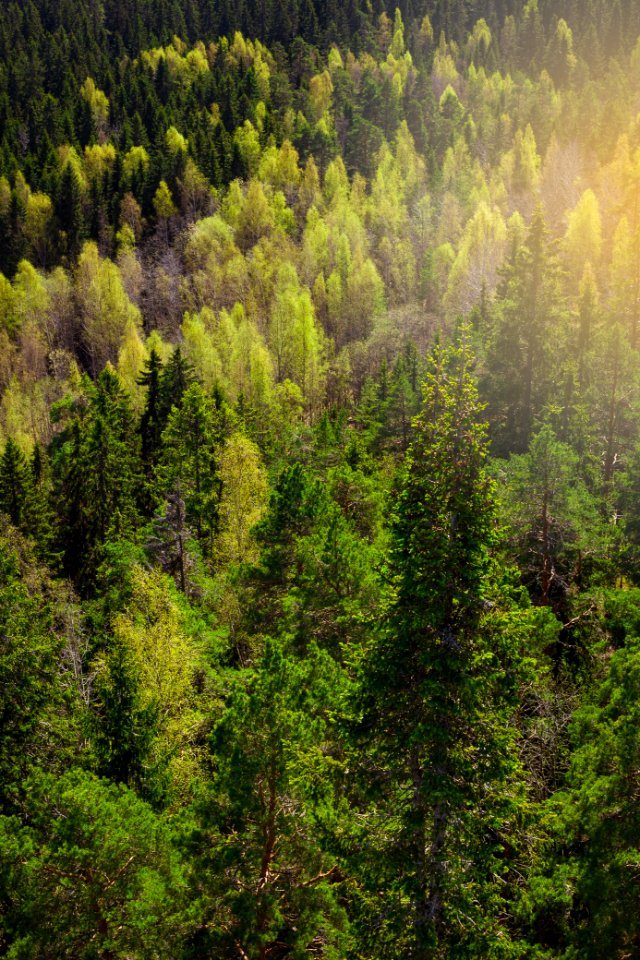 Aulanko, Hämeenlinna, Finland