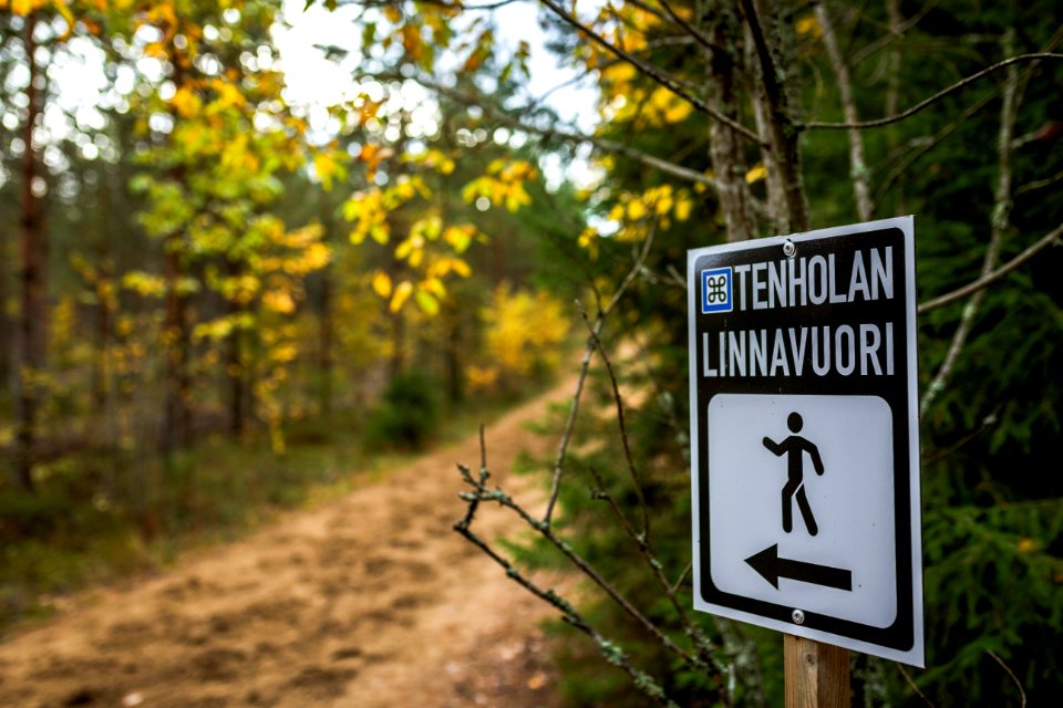 Tenholan linnavuori, Hattula, Finland