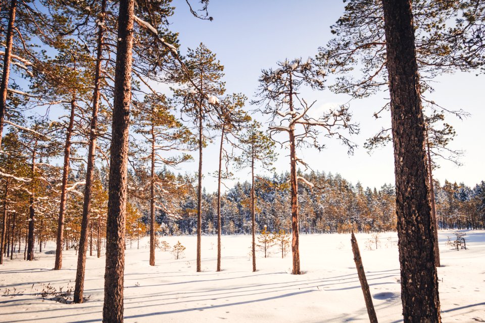 Evo, Hämeenlinna, FInland
