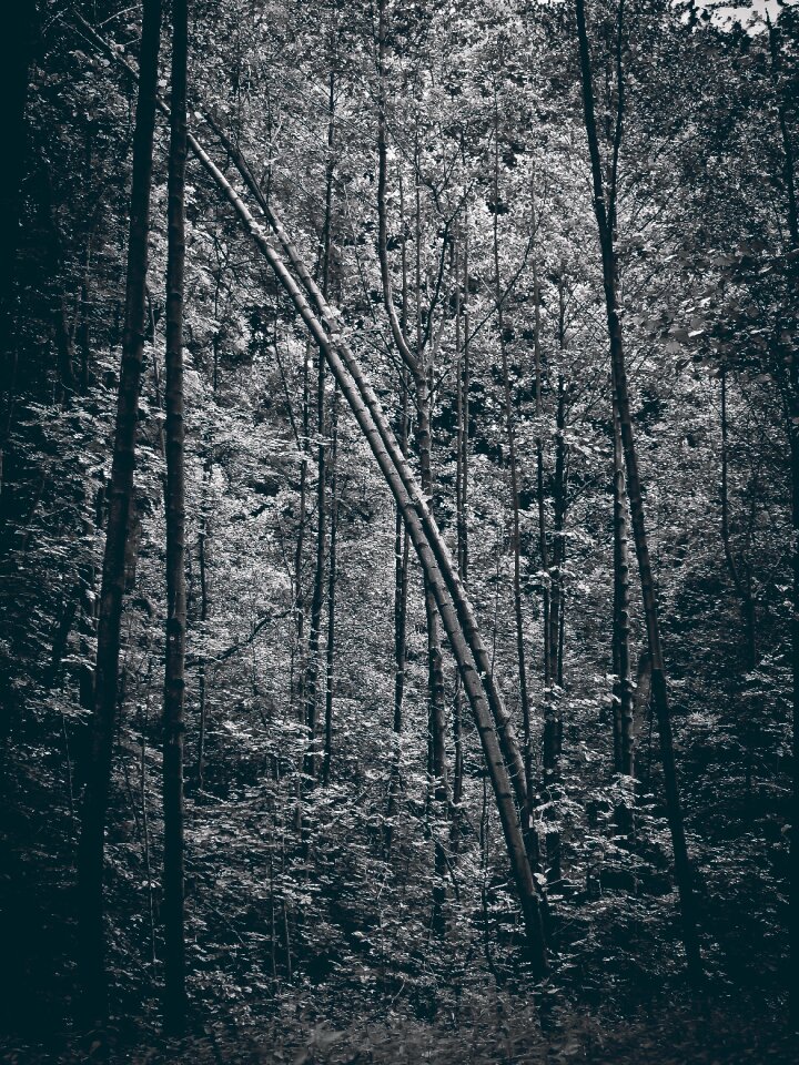 Mystical aesthetic threatening