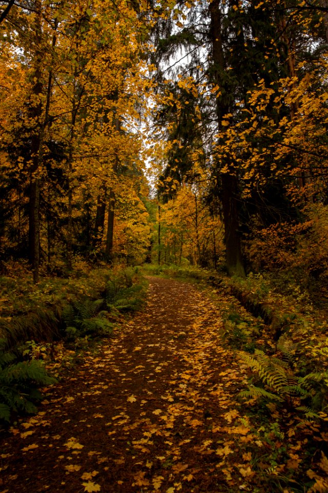 Aulanko, Hämeenlinna, Finland.
