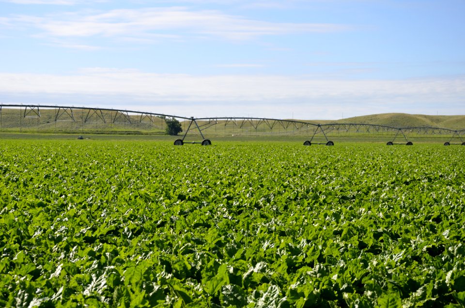 conservationtillage128