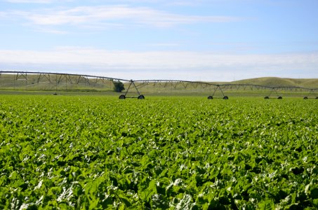 conservationtillage128