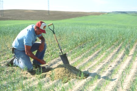 Soil Survey58.tif photo